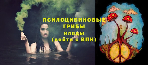 соль ск Сясьстрой