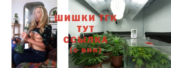 прущая мука Дмитриев
