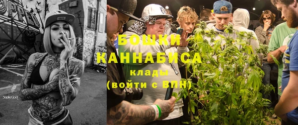 прущая мука Дмитриев