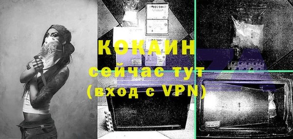 мдпв Дмитров
