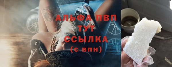мдпв Дмитров